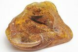 Two Fossil Leaves, Isopod, and Moss in Baltic Amber #207528-1